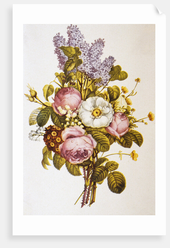Illustration Depicting a Bouquet of Roses and Lilacs by Anonymous