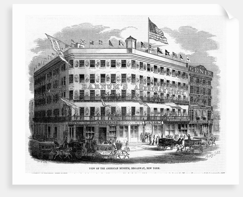 View of the American Museum, Broadway, New York by Anonymous