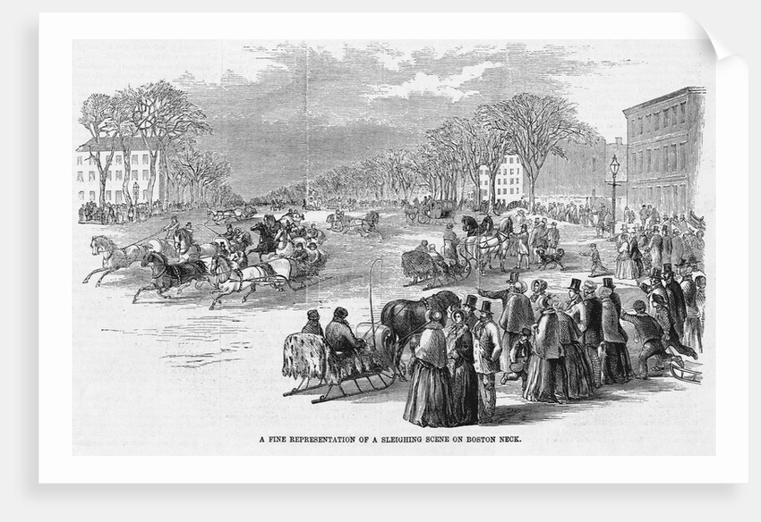 Sleigh Riding in Boston by Anonymous