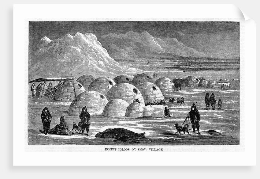 Innuit Igloos, or Snow Village Illustration by Anonymous
