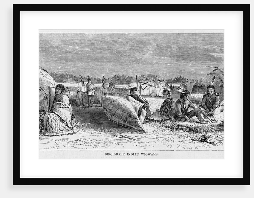 Birch-Bark Indian Wigwams Illustration by Anonymous