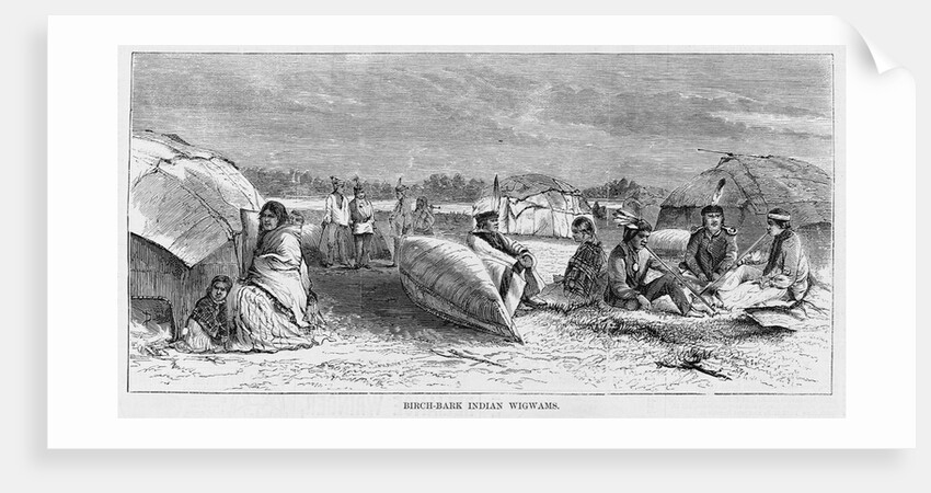 Birch-Bark Indian Wigwams Illustration by Anonymous