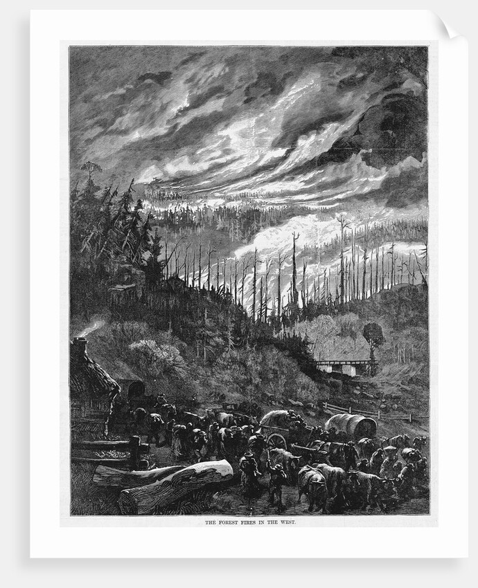 Forest Fire in Wisconsin by Anonymous