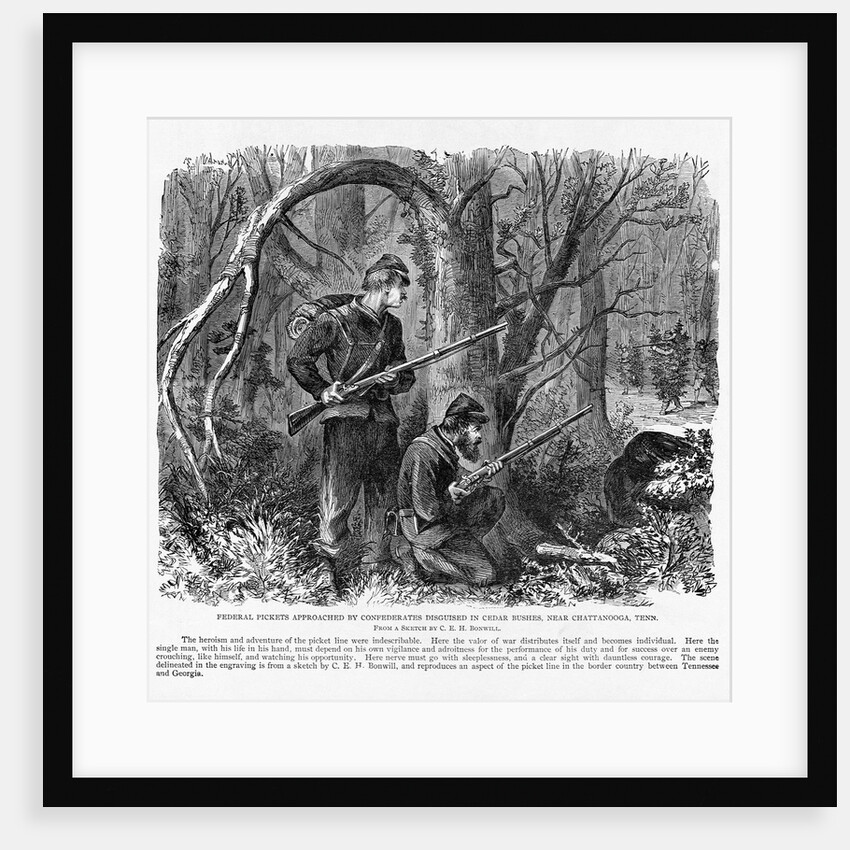 Camouflaged Confederates by Anonymous