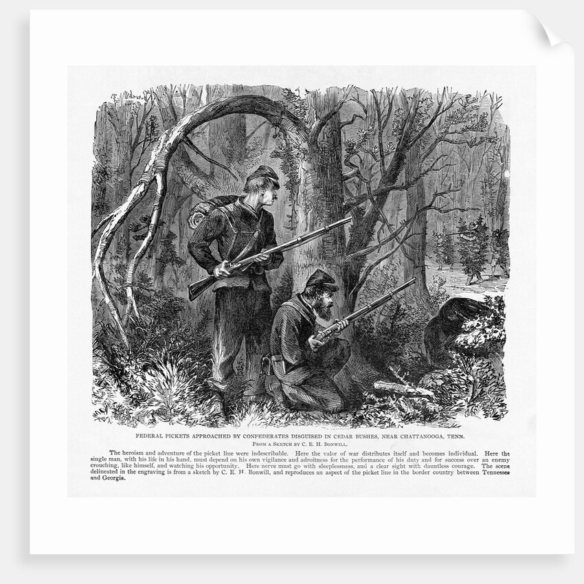 Camouflaged Confederates by Anonymous