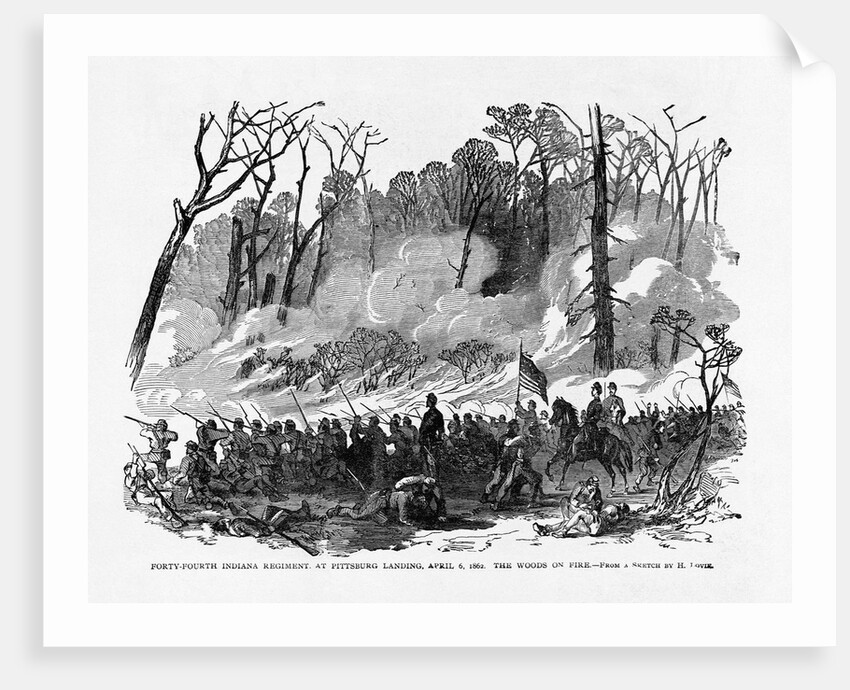 Battle of Shiloh by Anonymous