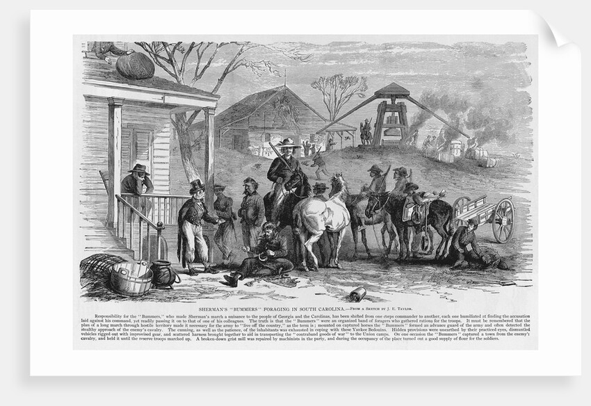 Union Troops Foraging by Anonymous