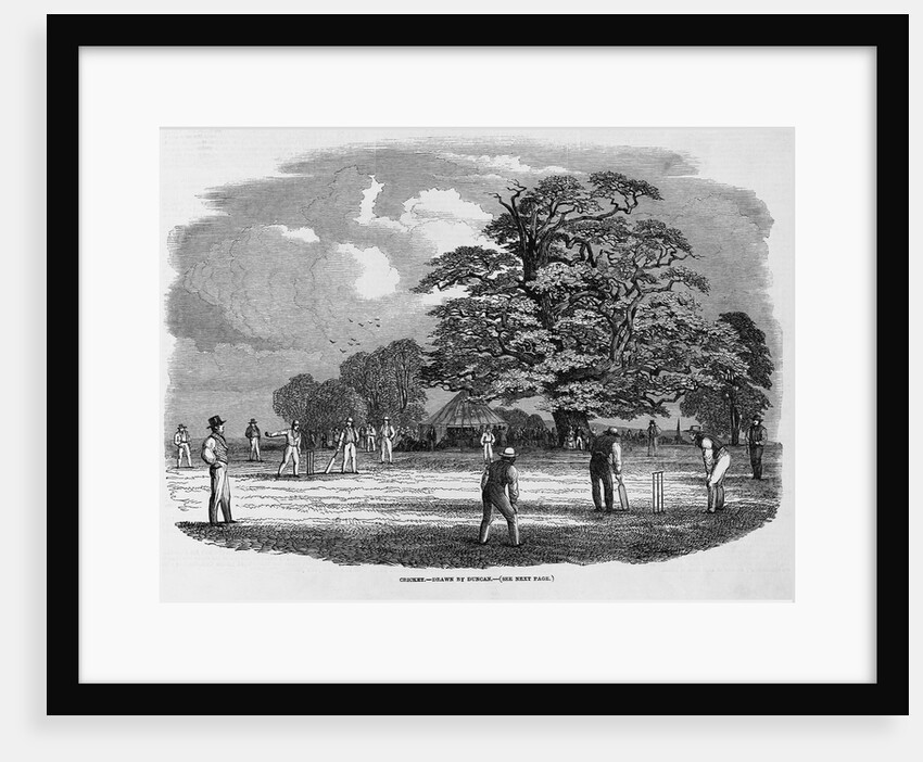 Cricket Game by Anonymous