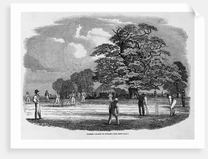 Cricket Game by Anonymous