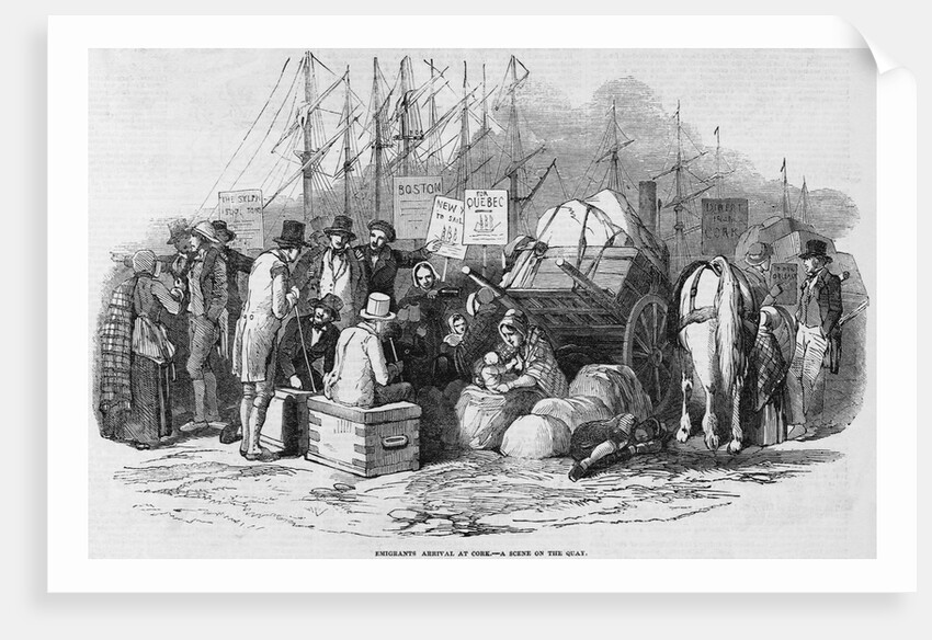 Emigrants Arrival at Cork Illustration by Anonymous