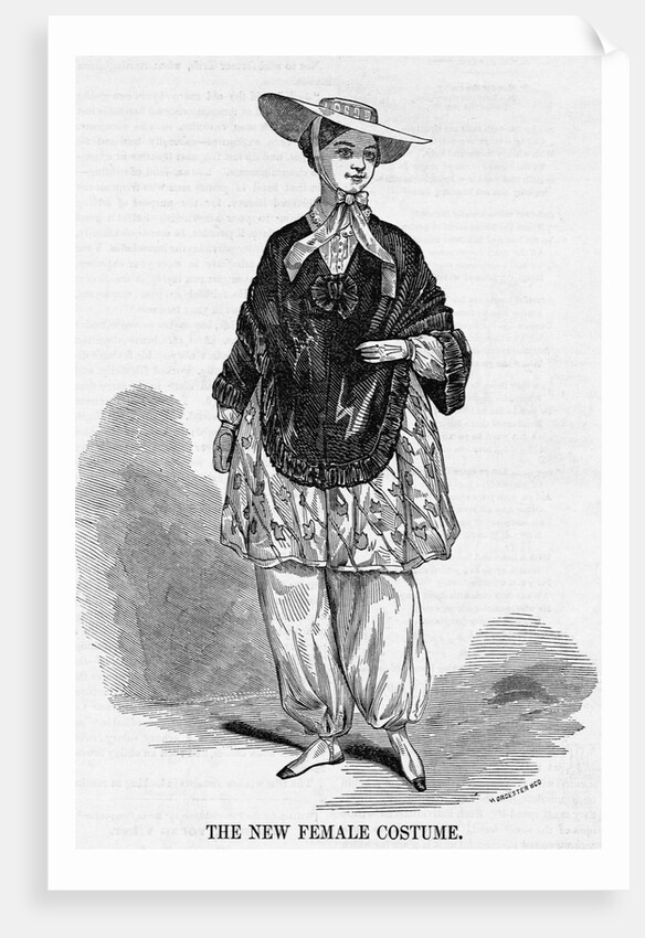 The New Female Costume Illustration by Anonymous