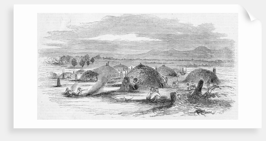 View of an Indian Rancheria, Yuba City, California Illustration by Anonymous