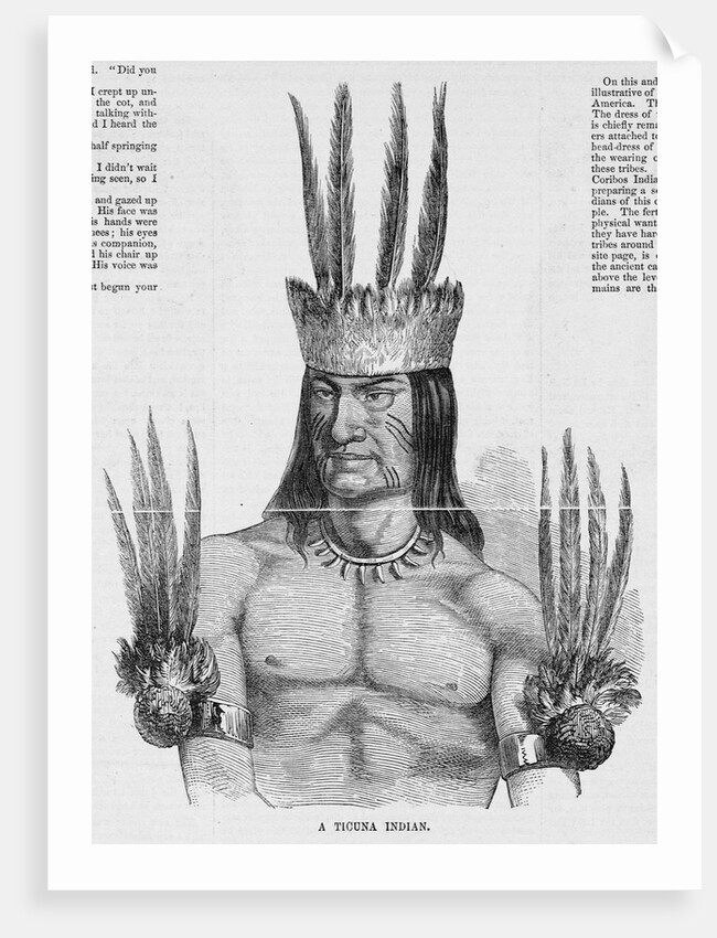 Portrait of a Tucuna Indian by Anonymous