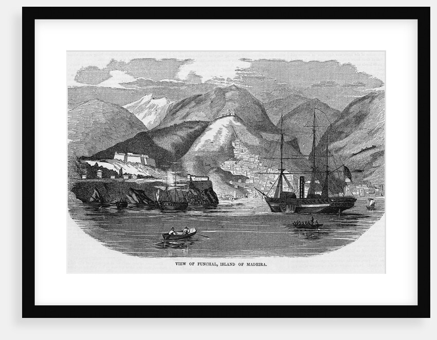 Harbor at Funchal, Madeira by Anonymous