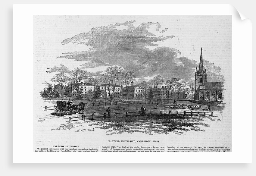 Harvard University, Cambridge, Mass by Anonymous