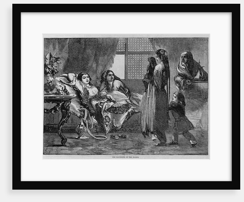The Favorites in the Harem by Anonymous
