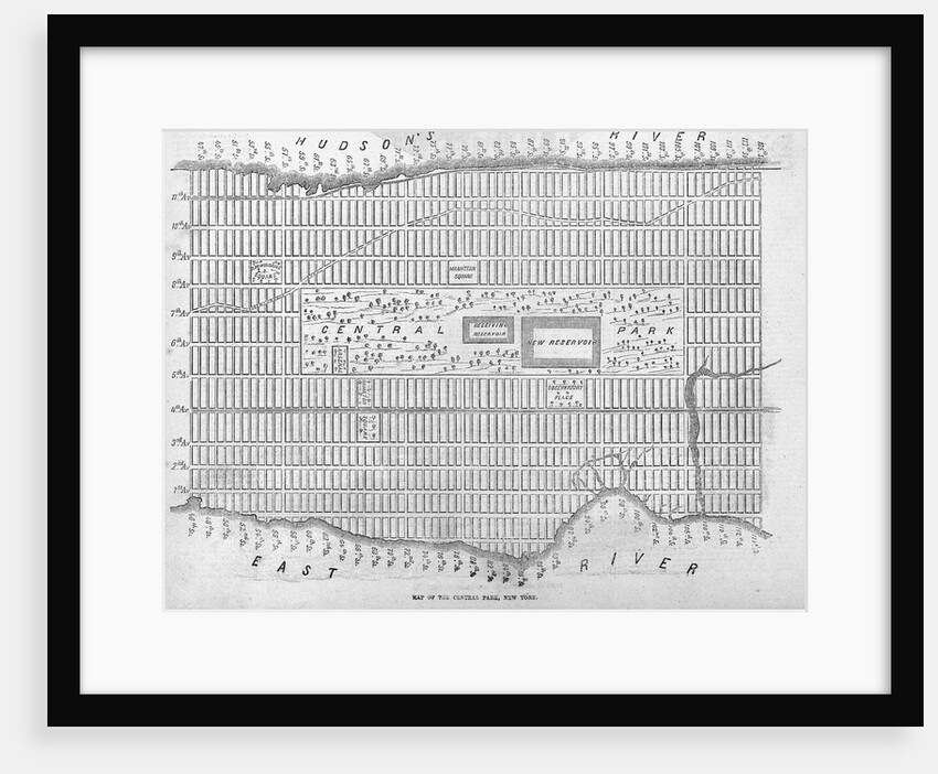 Map of the Central Park, New York by Anonymous