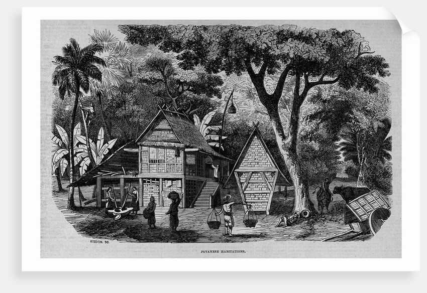 Javanese Habitations by Anonymous