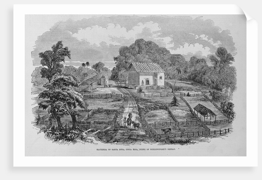 Hacienda of Santa Rosa, Costa Rica, Scene of Schlessinger's Defeat by Anonymous