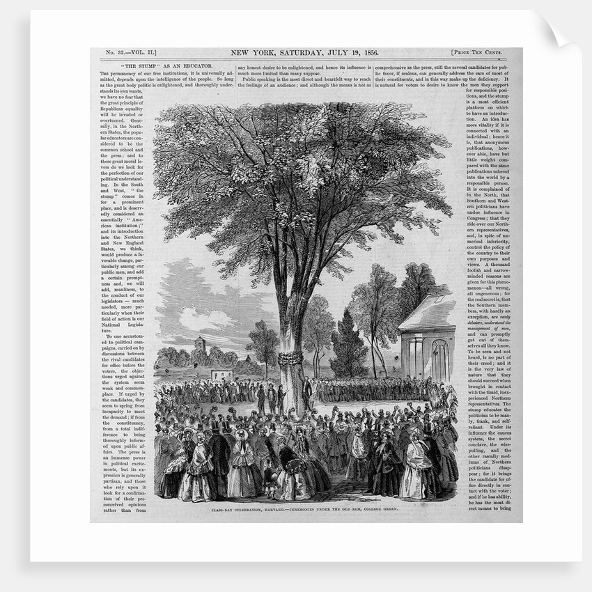 Class-Day Celebration, Harvard. Ceremonies Under the Old Elm, College Green by Anonymous