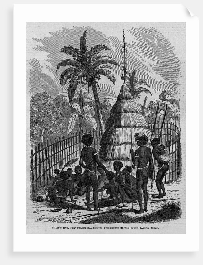 Chief's Hut, New Caledonia, French Possessions in the South Pacific Ocean by Anonymous