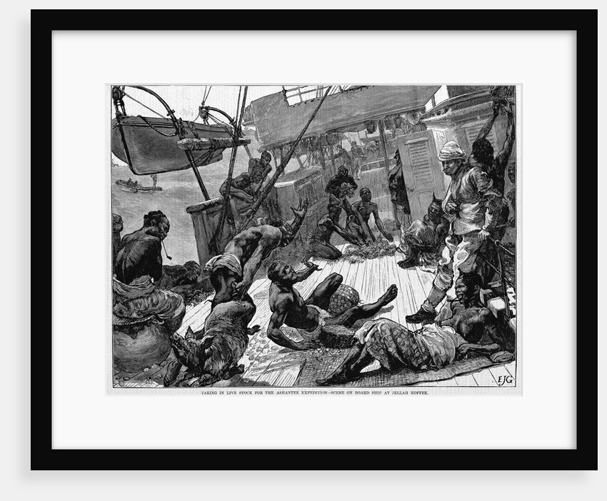 Taking in Live Stock for the Ashantee Expedition-Scene on Board Ship at Jellah Koffee by Anonymous