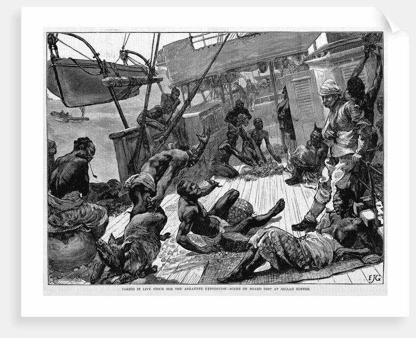 Taking in Live Stock for the Ashantee Expedition-Scene on Board Ship at Jellah Koffee by Anonymous