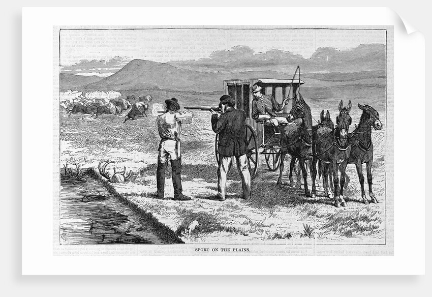 Sport on the Plains by Anonymous