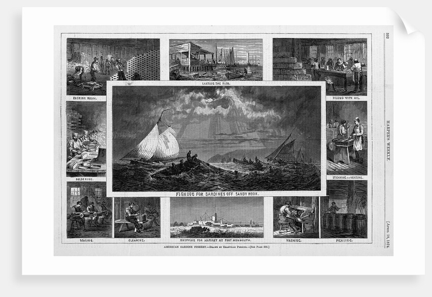American Sardine Fishery by Anonymous