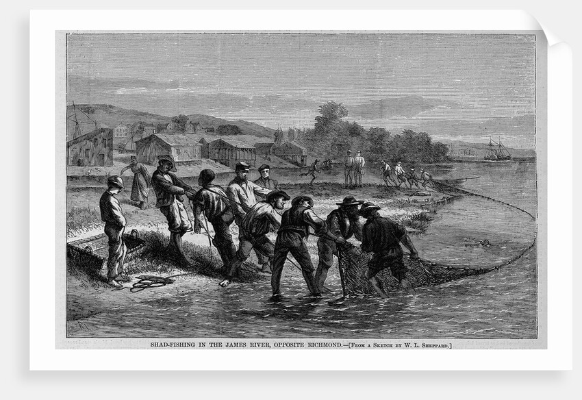 Shad-Fishing in the James River, Opposite Richmond by Anonymous