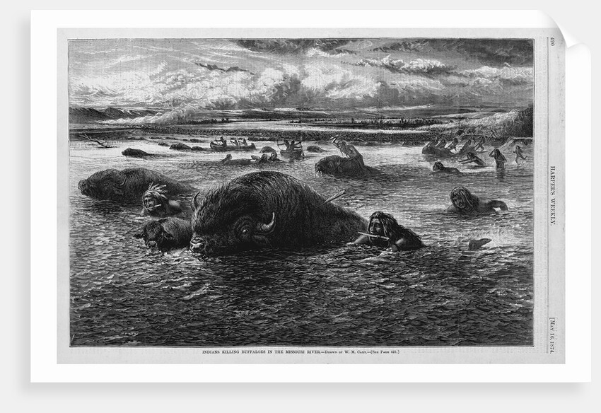 Indians Killing Buffaloes in the Missouri River by Anonymous