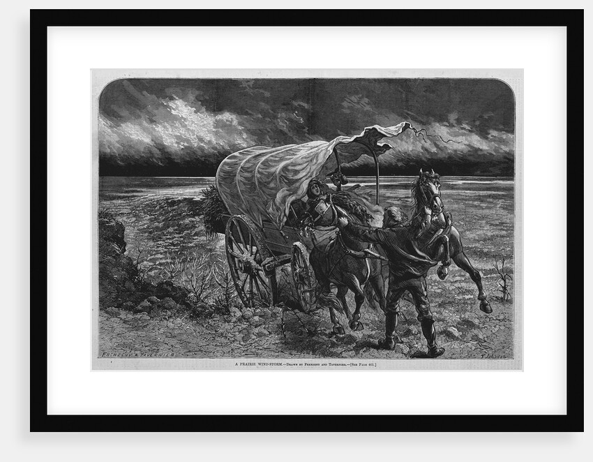 A Prairie Wind-Storm by Anonymous