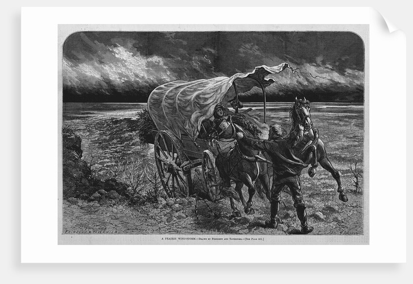 A Prairie Wind-Storm by Anonymous