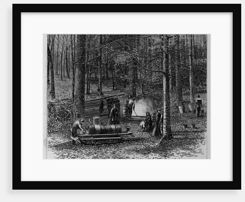 Scene in a sugar bush, Otsego County, New York by A. S. Avery by Anonymous