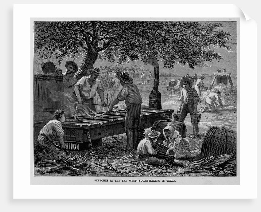 Sketches in the Far West-Sugar Making in Texas by Anonymous