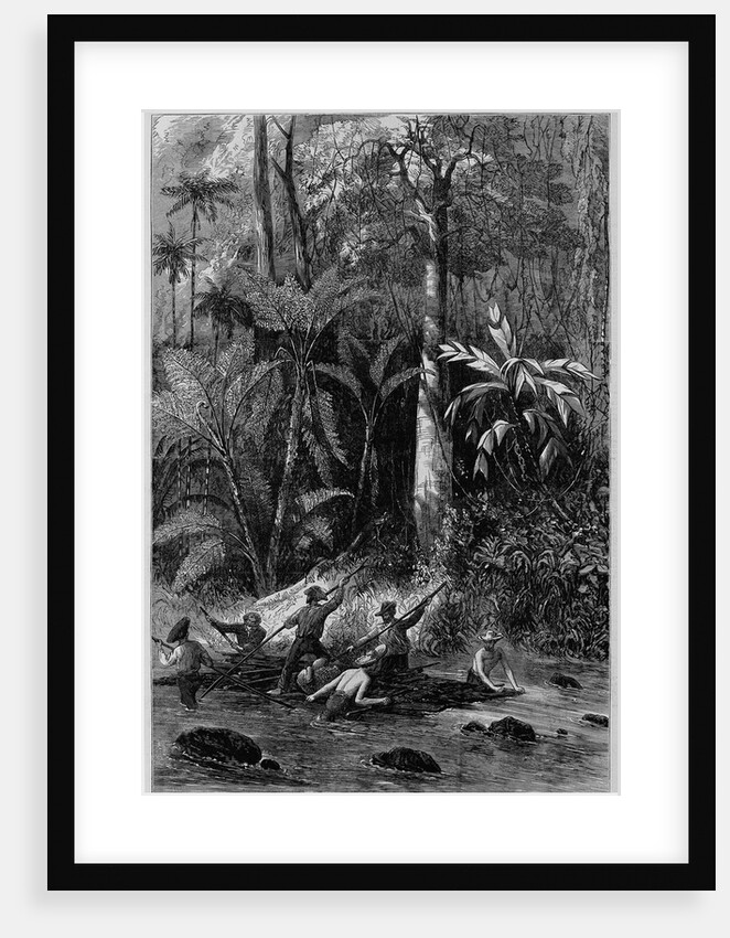 Surveying in Central America for a railroad across the Isthmus of Nicaragua - floating down the Rama by Anonymous