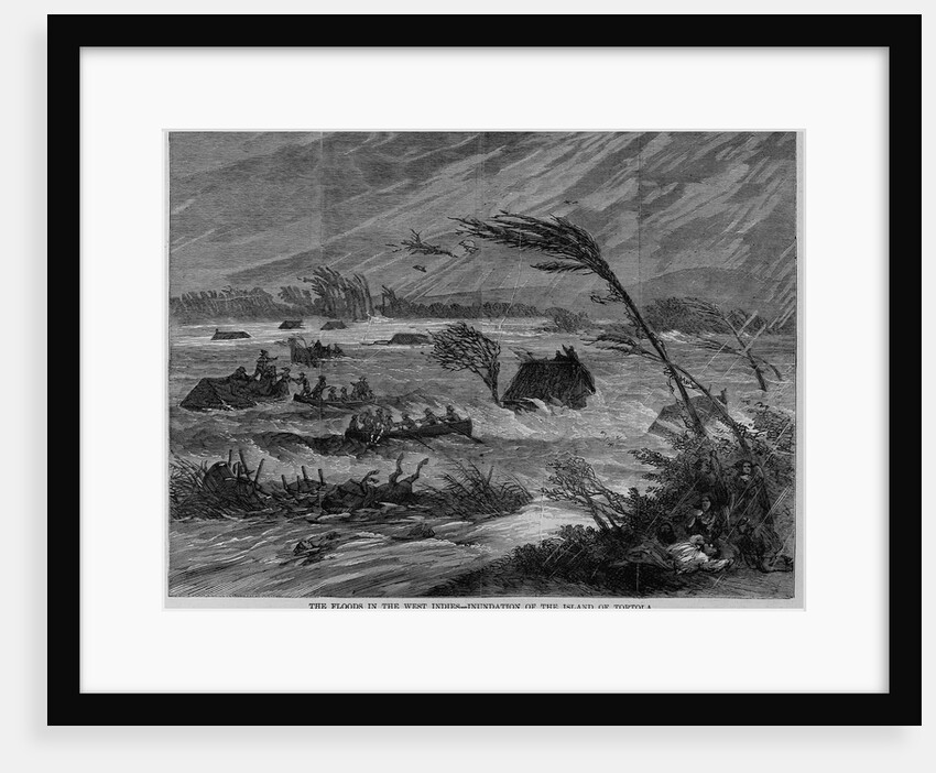 The floods in the West Indies - inundation of the island of Tortola by Anonymous