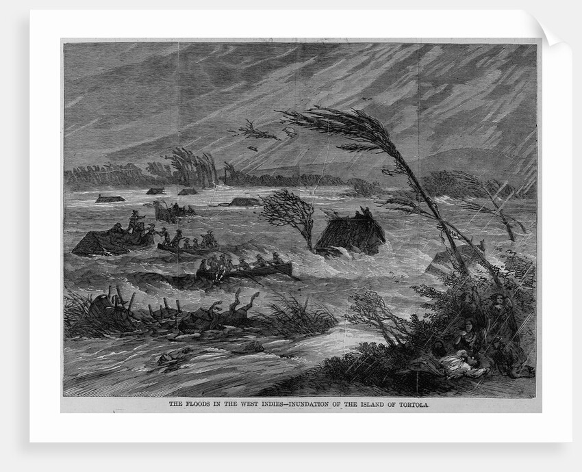 The floods in the West Indies - inundation of the island of Tortola by Anonymous