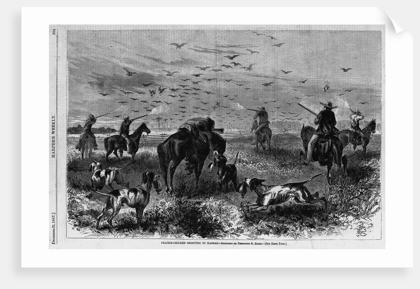Prairie-chichen shooting in Kansas by Theodore R. Davi