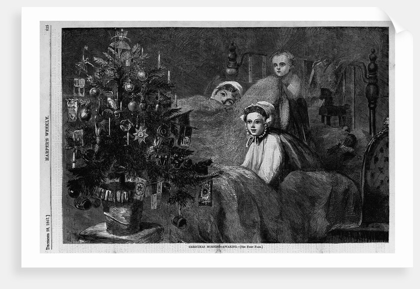 Christmas morning - awaking by Anonymous