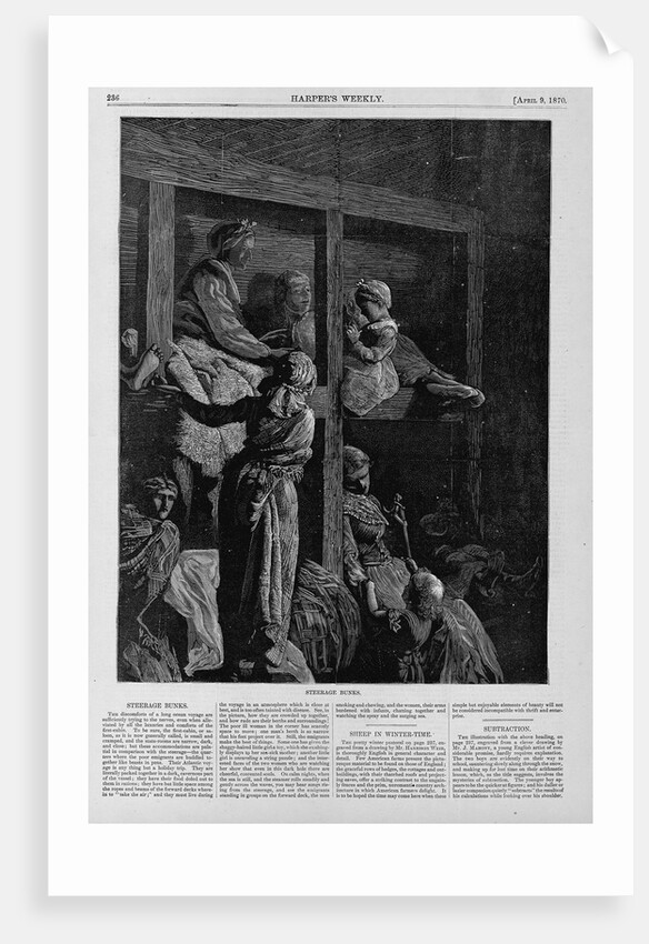 Steerage bunks by Anonymous
