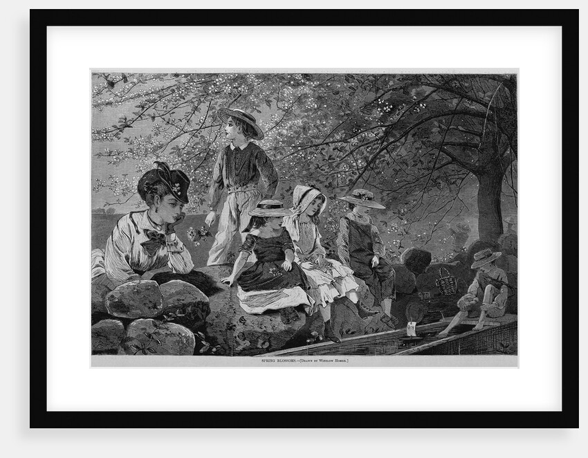 Spring blossoms by Winslow Homer