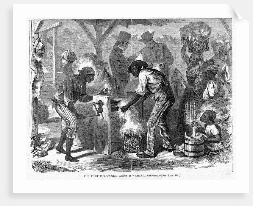The First Cotton-Gin by Anonymous