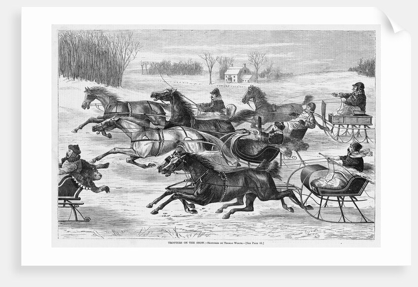 Trotters on the Snow by Anonymous