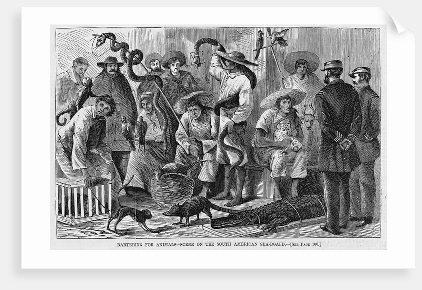Bartering For Animals - Scene on the South American Sea-Board by Anonymous