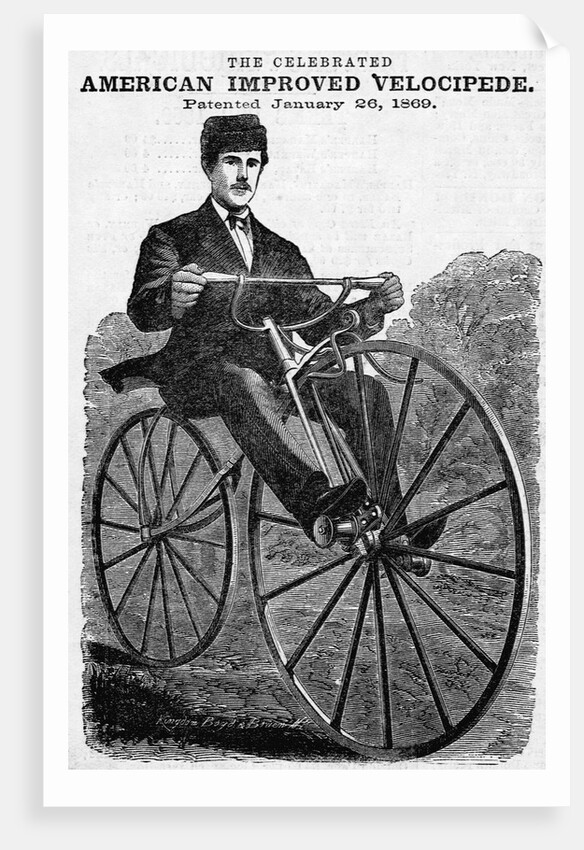 The Celebrated American Improved Velocipede Illustration by Anonymous