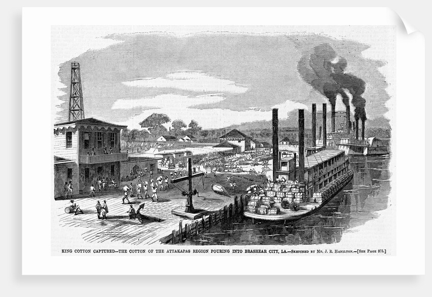 King Cotton Captured-The Cotton of the Attakapas Region Pouring Into Brashear City, LA by Anonymous