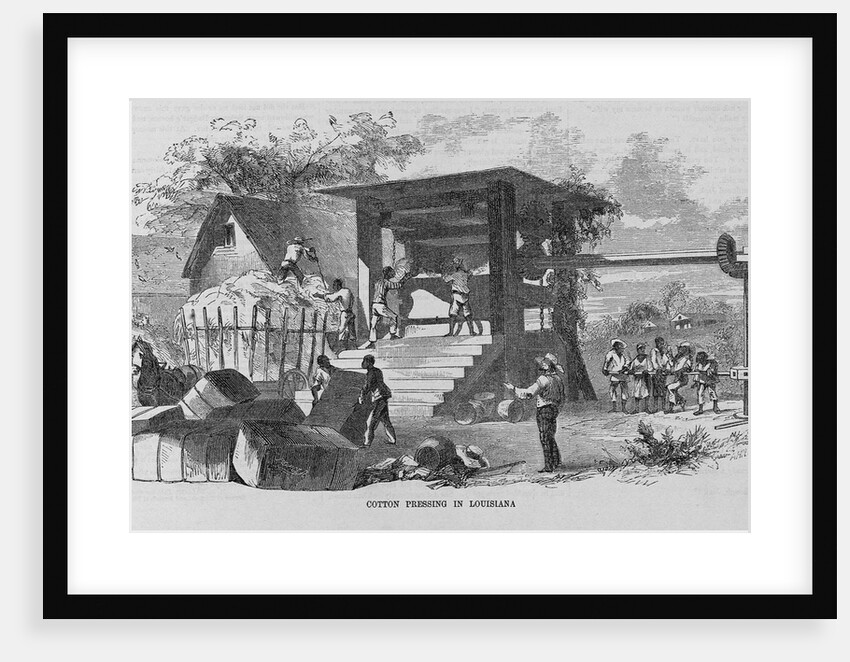 Cotton Pressing in Louisiana by Anonymous