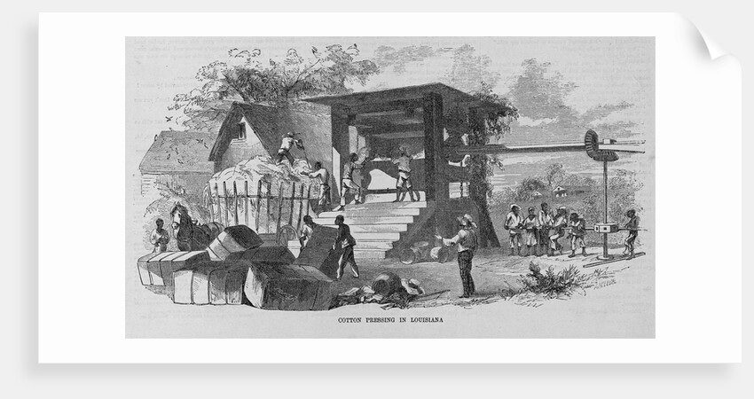Cotton Pressing in Louisiana by Anonymous