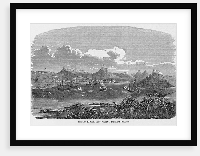 Stanley Harbor, Port William, Falkland Islands by Anonymous